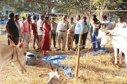 photo tgl 1A(24.1.2020) mahimapura