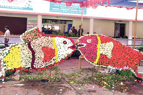 flowe show