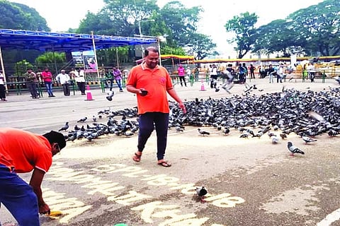ಜೆ್ಸಹ
