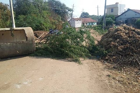 C JAJUR BELI 30