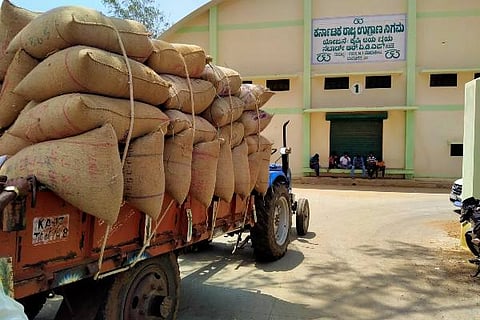 MYK MAIZE DAEA KUSITA 12 (2)