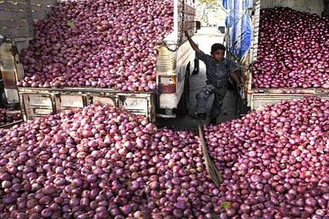 Onion
