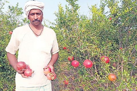 RVT 3-1