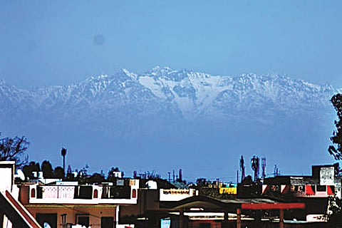 jalandhar-web