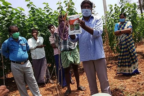 K HALLI PRATYAKSHITE 14
