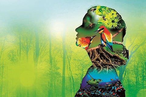 biodiversity-event