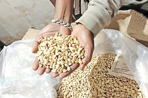 ಏಲಕ್ಕಿ