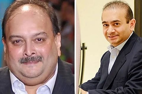 Nirav Modi 10 June 20