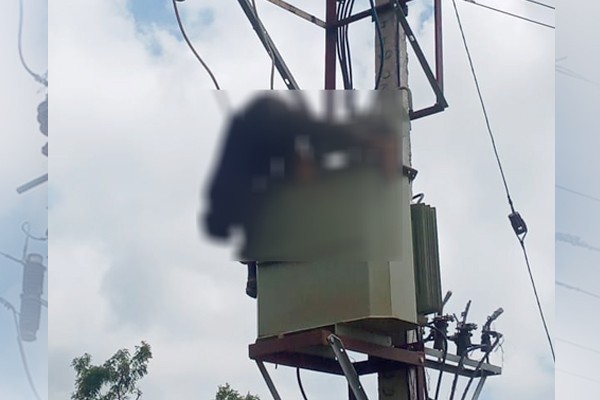 lineman death