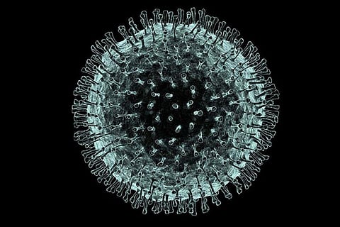 coronavirus