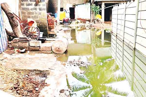 14 upbr 1-gatar neeru story1