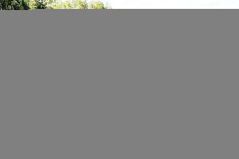 web