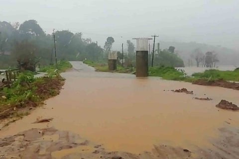 Rain 7