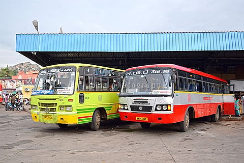 bus