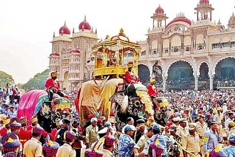 jambu savari
