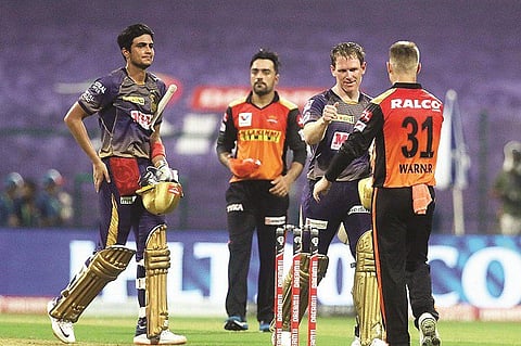 sun risers web
