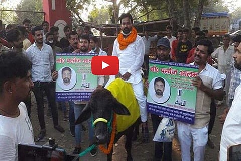 MLA