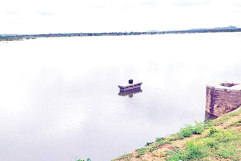 Magimavinahalli Udasalamma Lake