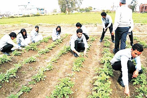 Student
