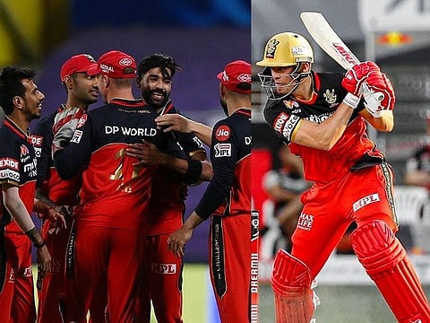 rcb abd web
