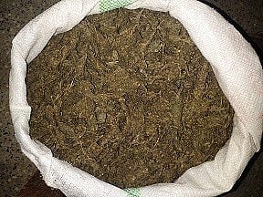 Ganja