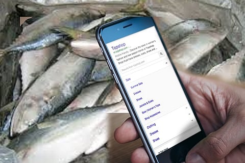 fish