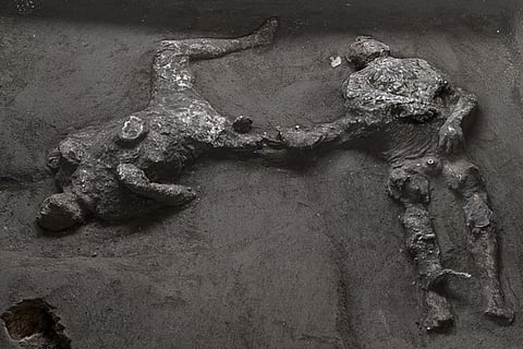 skeleton