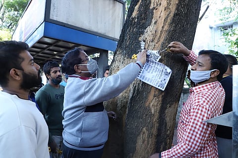 BBMP Tree