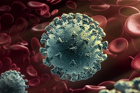 New Virus