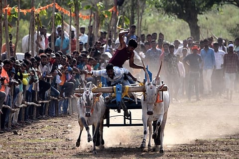 BULLOCK CART