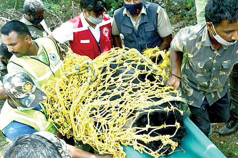 Bear Catch at Ballari City