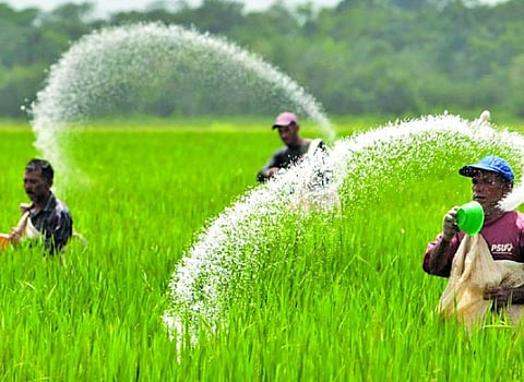 Fertilizer