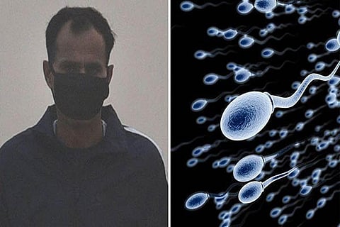 sperms