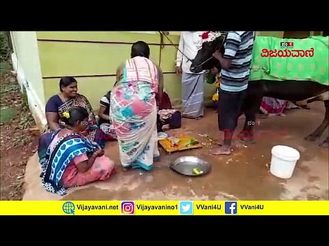 ಹಸುವಿಗೂ ಸೀಮಂತ! - youtube