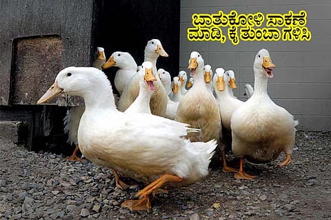 Money Mathu