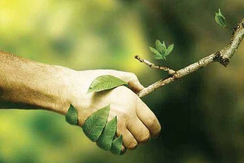 Jarur Mathu