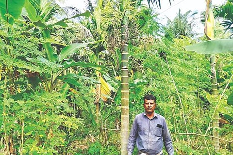 nmt1a-15dec-belagutti umeshanna