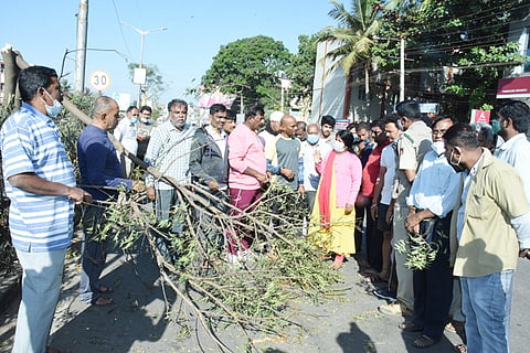 23TMK_Tree_Cuting