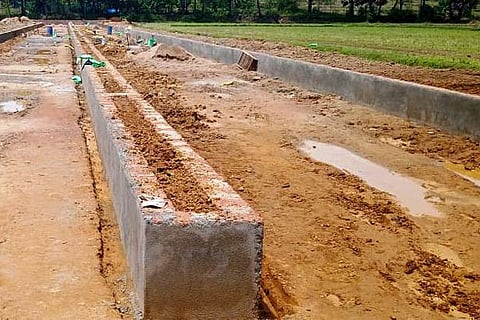 Kambala kare