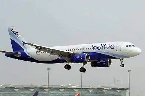 indigo