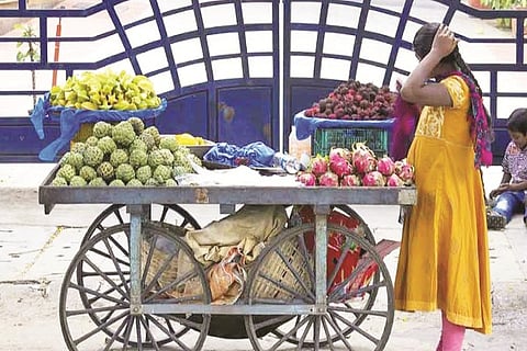 Farmer