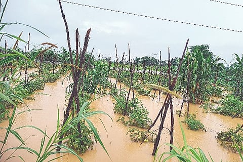 Mansoon