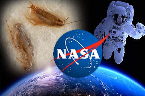 NASA