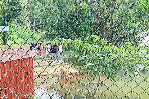 mandya srirangapattana kaveri river flood