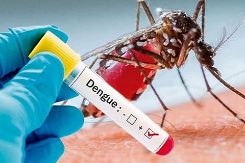 dengue
