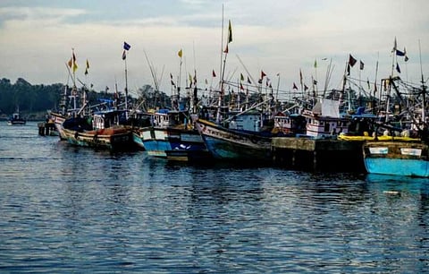 MALPE 1