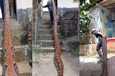 Python
