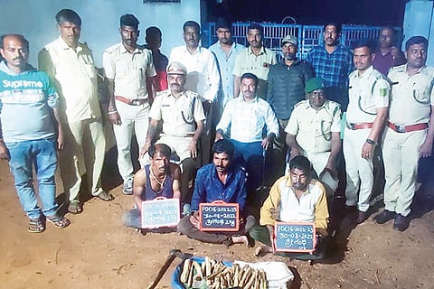 020922 Officers of Koppal sub-zonal forest department have arrested sandalwood thieves