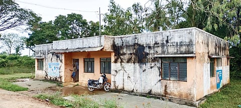 IMG-20221017-WA0010