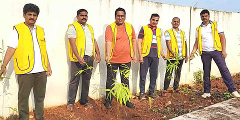 Rotary Club Tree Plantation Photo